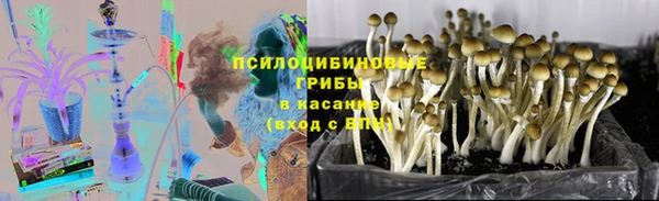 Альфа ПВП Бугульма