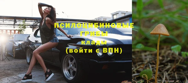 винт Бронницы