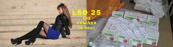 молекула духа Бородино