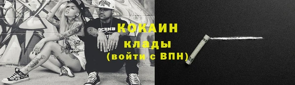 молекула духа Бородино