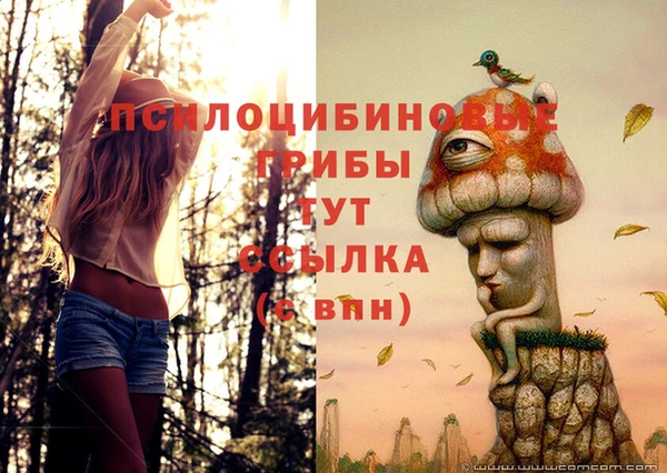 винт Бронницы