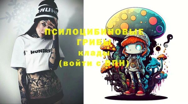 молекула духа Бородино