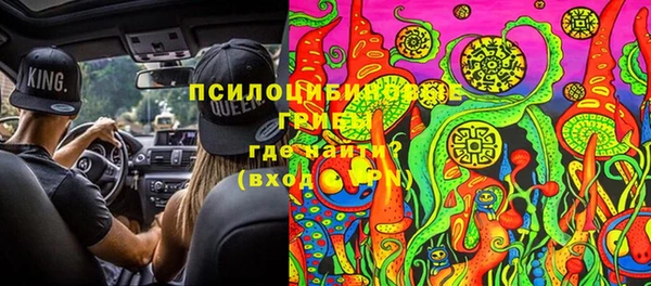 молекула духа Бородино