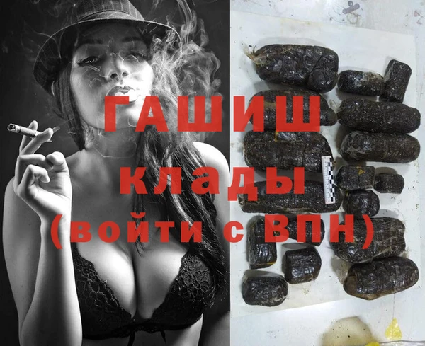 молекула духа Бородино