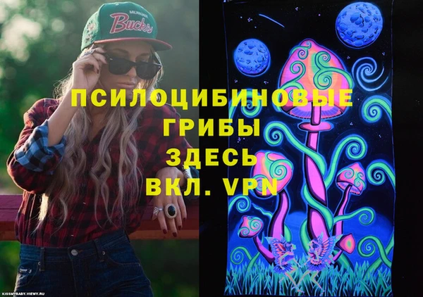Альфа ПВП Бугульма