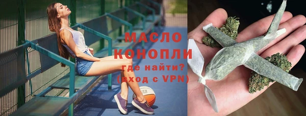 молекула духа Бородино