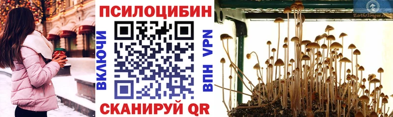 Купить закладки  Петров Вал  Псилоцибиновые грибы Psilocybine cubensis 